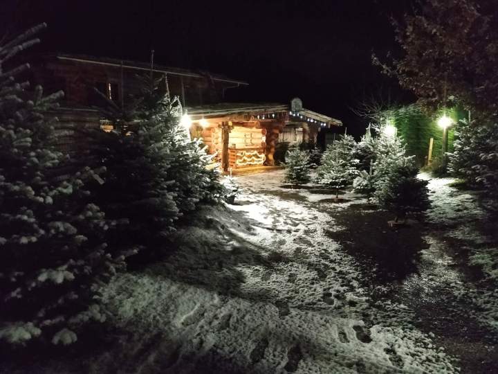 Pépinière de plants forestiers Auvergne