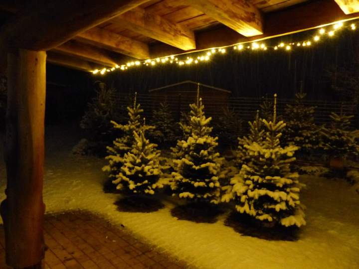 Produire des plants de haies Auvergne